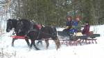 Sleigh Ride - www.kendalhills.ca 